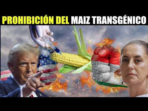 REVELAN EL NUEVO PLAN PARA LA RECUPERACIÓN DEL CAMPO MEXICANO Y LA PROHIBICIÓN DEL MAÍZ TRANSGÉNICO