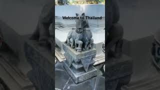My Thailand Experience