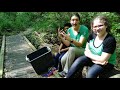 Leaf Pack Experiment and Assessment