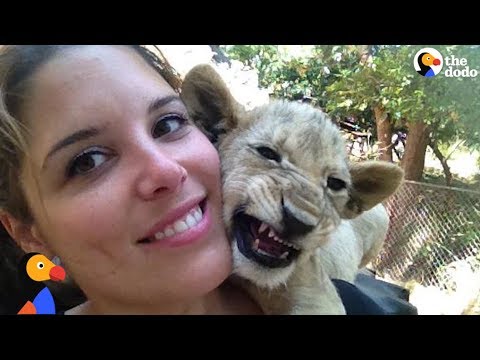 Woman Horrified to Find She Was Raising Lions To Be Killed at 'Sanctuary'