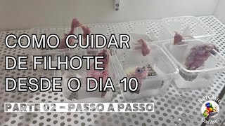 Como Cuidar de Filhote desde o Dia 10 - Parte 02