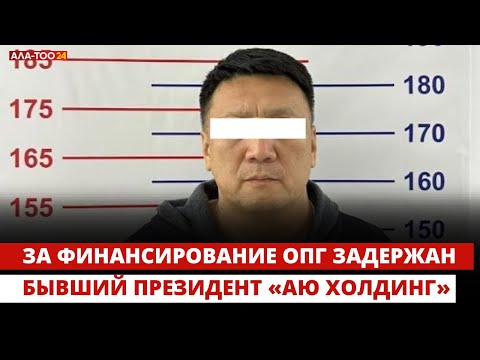 За финансирование ОПГ задержан бывший президент «Аю Холдинг»