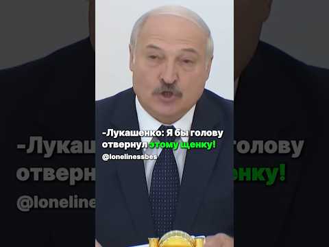 Лукашенко: Я бы голову отвернул этому щенку!