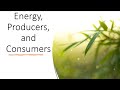 Ecosystem Roles and Energy Flow