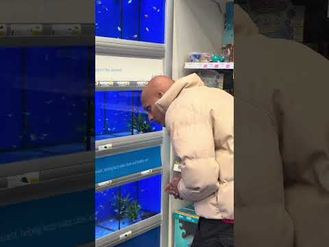 Lets buy some fishes  #whentheviewsaysitall
