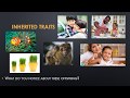 Exploring Inherited Traits and Learned Behaviors