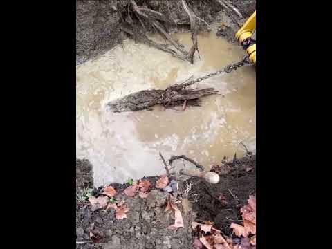 Amazing Moment 😳 #fyp #funny #art #tree #drainage