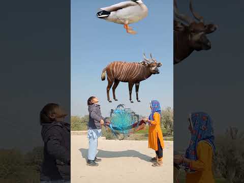 Sub Nabi Yo Sy Ala #islamicvideo #islamicshorts #youtubeshorts #ytshorts #youtube