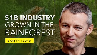 Gareth Lloyd: How the Jungle Became the Most Productive Factory on Earth