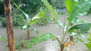 Kondisi sungai Grogolan baru pekalongan