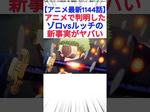 【アニメ最新1144話】アニメで判明したゾロvsルッチの新事実がヤバい
