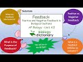 Feedback Mechanisms in Biological Systems