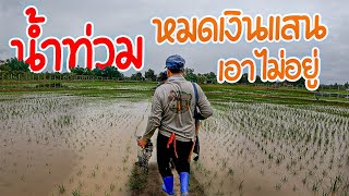 น้ำท่วมจนได้ !! ทำที่ขั้นหมดเป็นแสน พ่อกับผมพลาดเอง!!