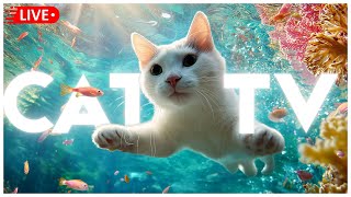 🔴LIVE Calming Cat TV & MUSIC - Deep Soothing Songs for Cats! 🌈✨