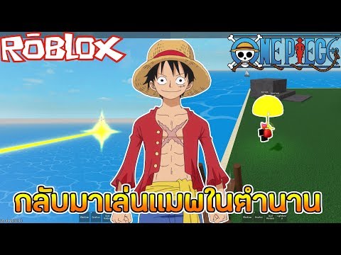 Live Roblox Steves One Piece
