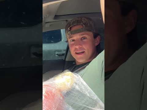 My Husband is PREGNANT... #taylorandsoph #shorts