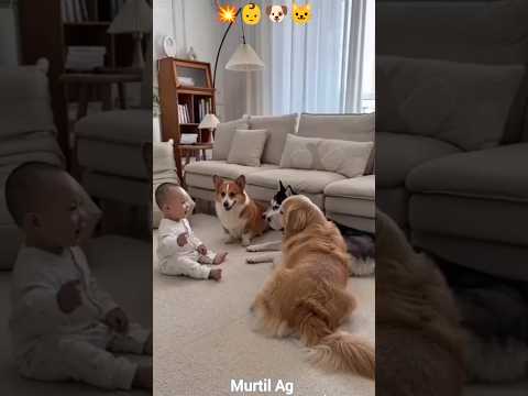 The cutest little showdown! ๐ฅ๐ถ๐ถ๐ฑ #funny #animals #viral