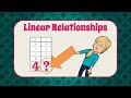 Understanding Linear Relationships