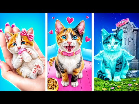 Mengadopsi Kucing Kecil! Kiat Rahasia untuk Pemilik Hewan Peliharaan! Cara Mengurus Hewan Peliharaan