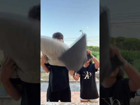 Tag del hermano!