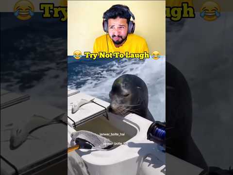 Bhaiya Yaar Kuch Badhiya Dikhao ๐๐คฃ #shorts #funny #memes #viral #trending #transition