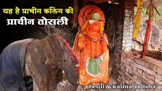आखिर सामने आया कलिंग का तोसल नगर | देखें Radhanagar के दंग करनेवाले बौद्ध स्थल | Deuli & Kaima