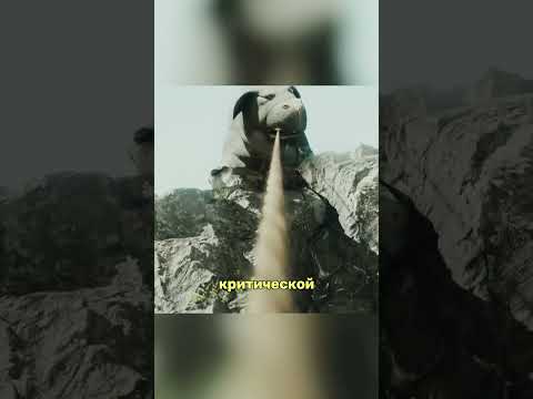 Женщина сорвалась в пропасть. Её спасла свинья, пожертвовав собой😰