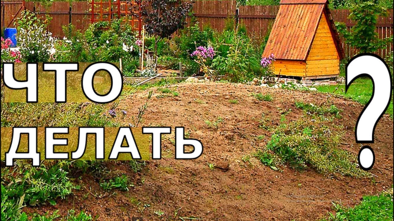 Глинистая почва на участке. Как получить урожай в первый год
