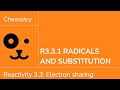 Free Radical Reactions and Concepts