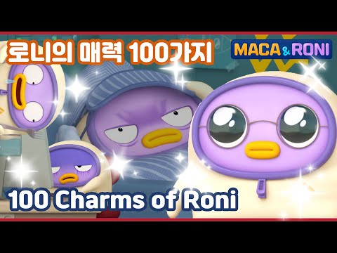 [Maca&Roni] ★compilation★ | 로니의 매력 100가지 | 100 Charms of RONI | 로니의 모든 것을 알아보자