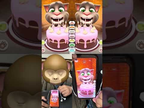 Talking tom cat gameplay VS Shape Shifting Gameplay Video (Part 8)​⁠ ​⁠| By Tom Cat Fun