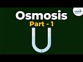 Osmosis and Cell Membrane Functions