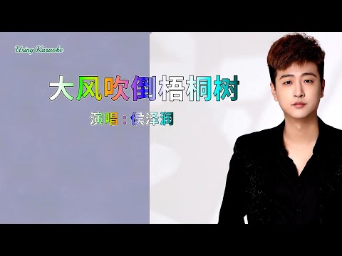 大风吹倒梧桐树-侯泽润-主唱 KARAOKE