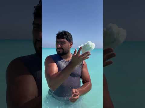 البحر اللي بنروحو كل سنة تبع شركه ابويا
