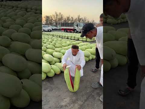 long watermelon cutting 🍉🍉🍉