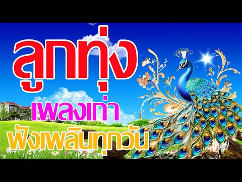 รวมเพลงลูกทุ่งเก่าฟังเพลินทุกวัน