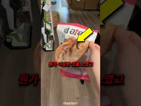 강아지 간식에 찍혀있는 검은 흔적의 정체