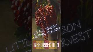 Resurrection ~ Little Season, Latter Harvest
