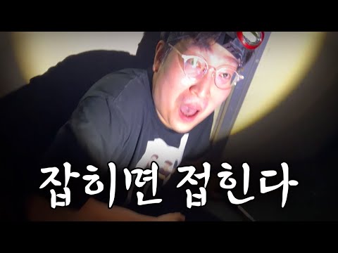 시즌1 코뚱잉 추격전 (ft.이상호, 클리드, 서도일)