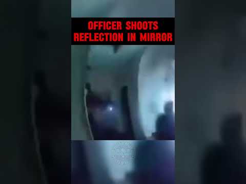 Mirror Mistaken for Suspect! #police #cops