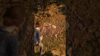 Details above The Last Of Us part 2 #tlou2
