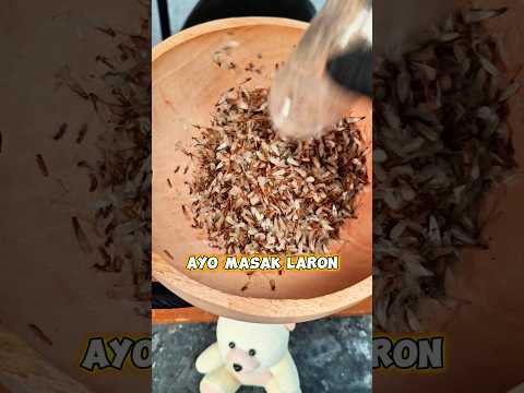 MASAK LARON YANG LAGI BANYAK DIRUMAH!