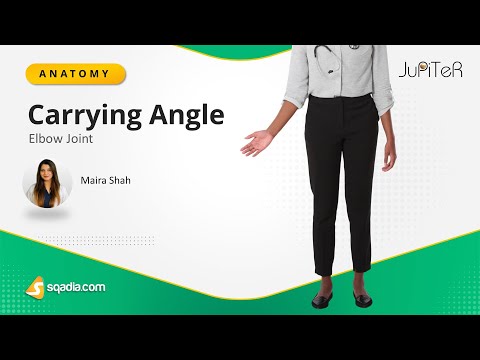 Elbow Joint | Carrying Angle | Bone, Ligaments and Muscles Anatomy Made Easy for Medical Students