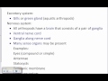 Arthropod Biology and Characteristics