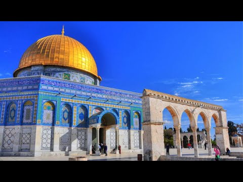سورة التوبة   |   القارئ محمد اللحيدان