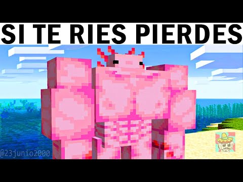 SI TE RÍES PIERDES NIVEL MINECRAFT 🐙 MEJORES MOMENTOS + FAILS + RISA + GRACIOSOS #26