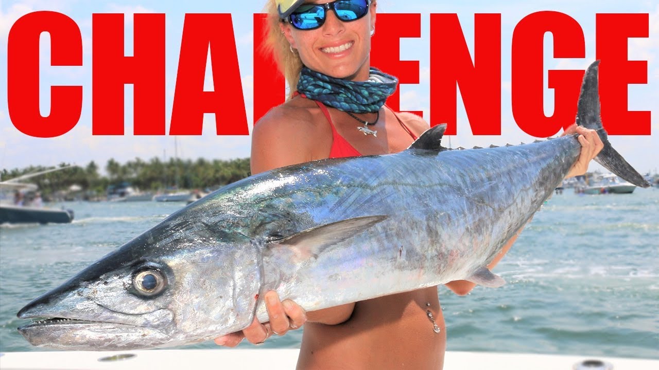 Florida Deep Sea Saltwater Fishing for KING Mackerel