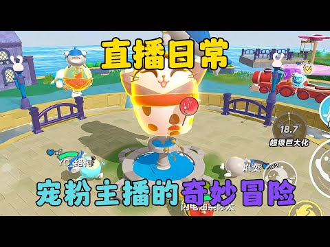 蛋仔派對：直播日常，寵粉小主播的奇妙冒險！ - YouTube