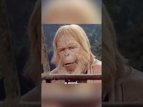 A Human Shocked an Entire Monkey Civilization