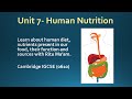 Understanding Protein Energy Malnutrition